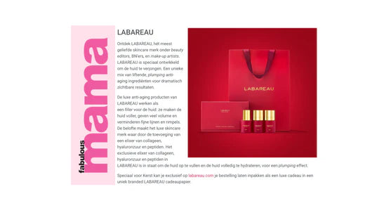 Fabulous Mama: Christmas with LABAREAU